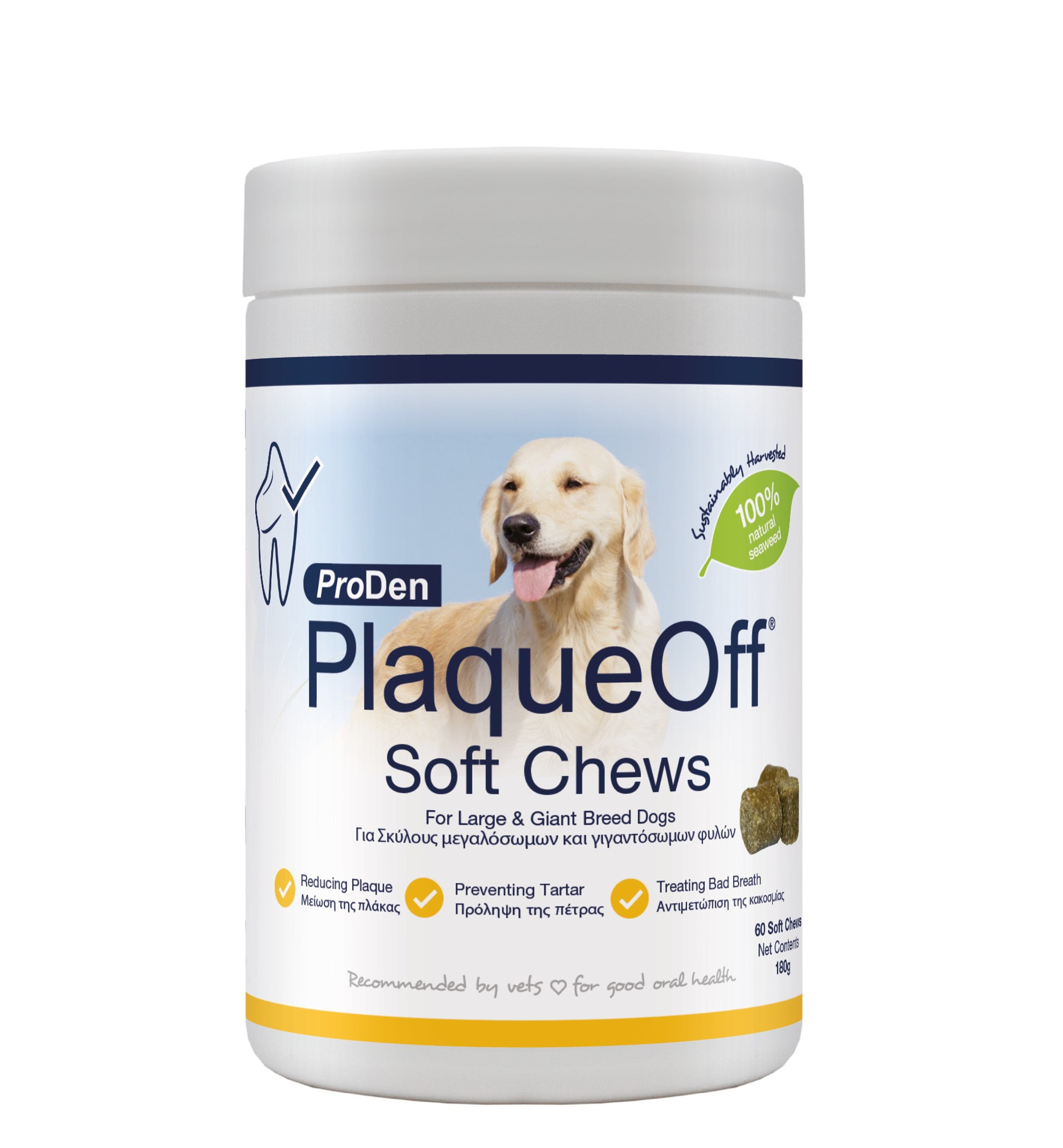 gia_petstyle_2.__00610