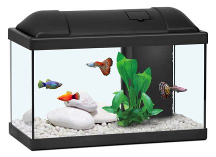 BioFun ενυδρείο 41x21x31cm για ψάρια